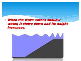 When the wave enters shallow water, it slows down and its height increases.