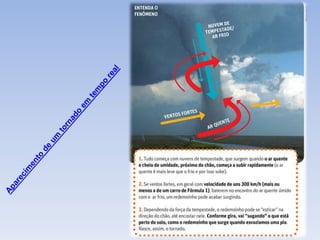 Tsunamis e Tornados