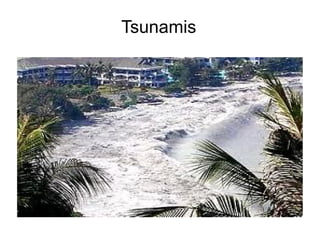 Tsunamis
 