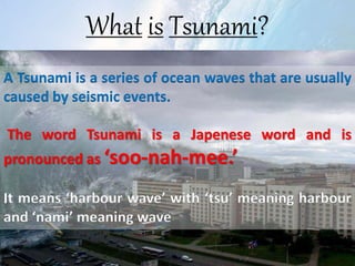 Tsunami means which waves