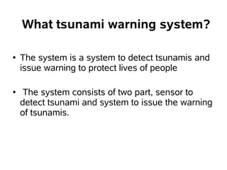 What does a tsunami warning system look like