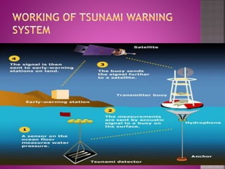 Does hawaii have a tsunami warning system
