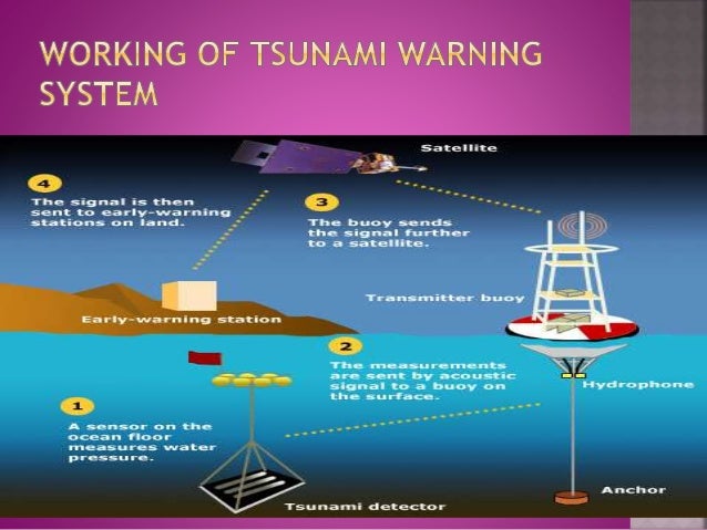tsunami early warning systems essay tsunami early warning systems essay