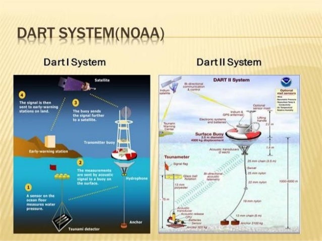Tsunami Warning System