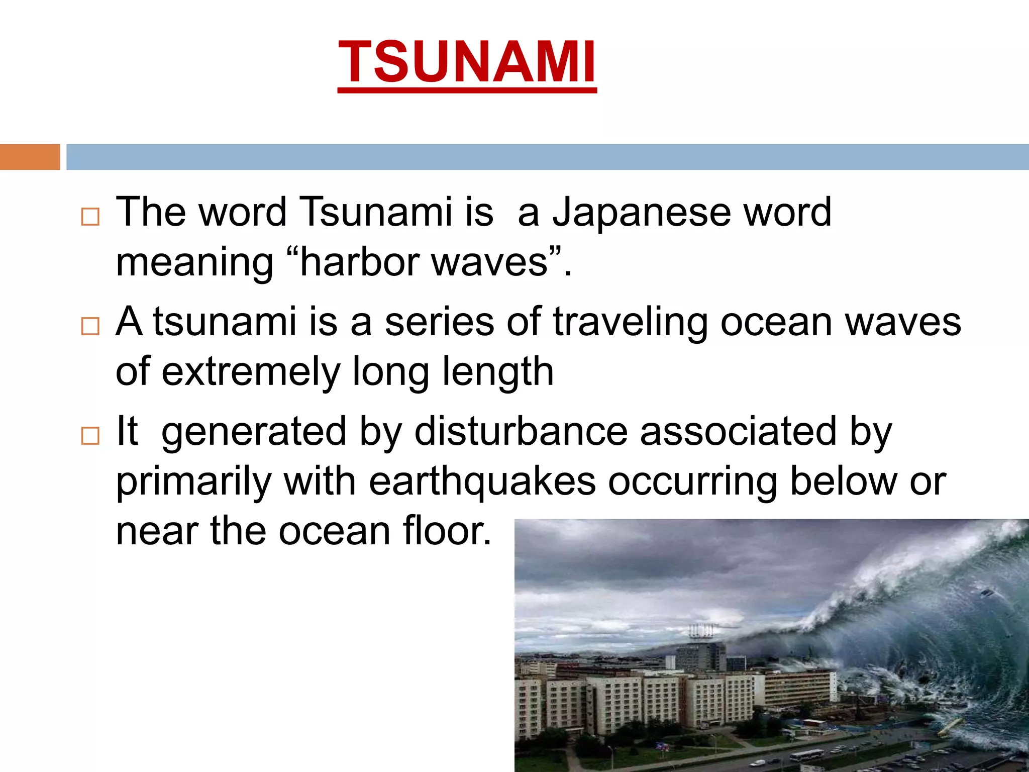 What does tsunami warning mean