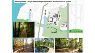 Университет. Общественные пространства. Экологическая тропа
 