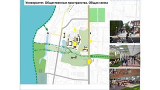 Университет. Общественные пространства. Общая схема
 
