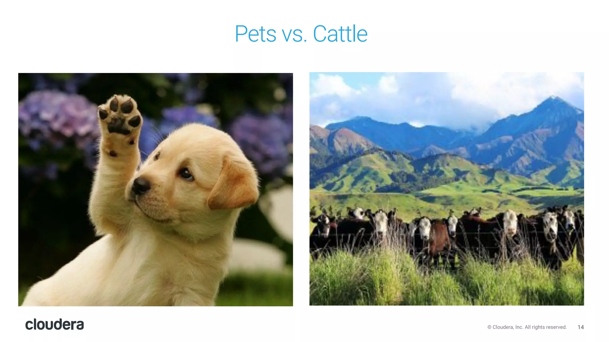 14© Cloudera, Inc. All rights reserved.
Pets vs. Cattle
 