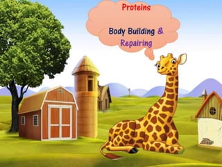 Nutrition session for school children