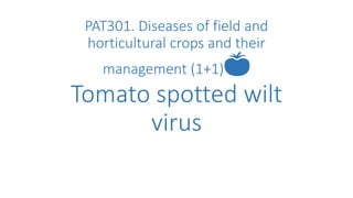 PAT301. Diseases of field and
horticultural crops and their
management (1+1)🍅
Tomato spotted wilt
virus
 