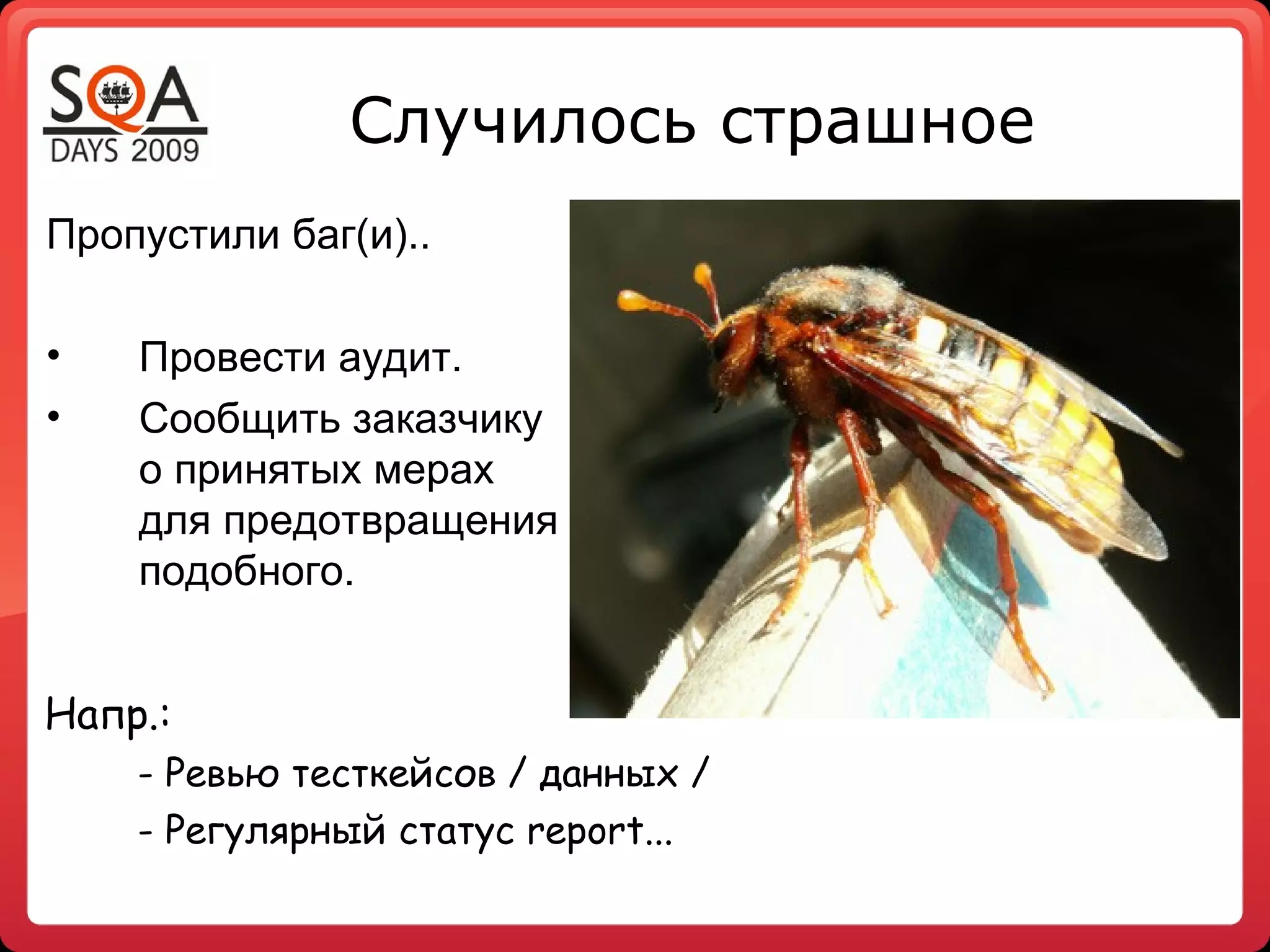 Случилось страшное
Пропустили баг(и)..

•   Провести аудит.
•   Сообщить заказчику
    о принятых мерах
    для предотвращения
    подобного.


Напр.:
    - Pевью тесткейсов / данных /
    - Регулярный статус report...
 