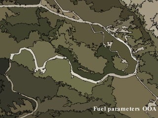 Fuel parameters OOA InfoGIS: SAD en Incendios Forestales 