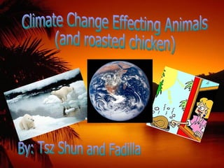 By: Tsz Shun and Fadilla Climate Change Effecting Animals  (and roasted chicken) 