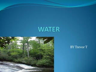 WATER  BY Trevor T 