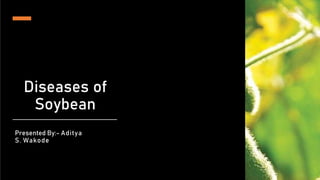 Diseases of
Soybean
Presented By:- Aditya
S. Wakode
 