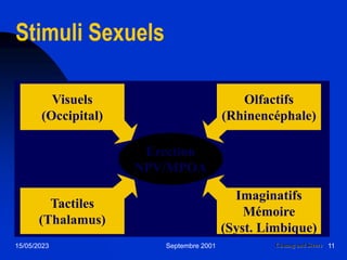 15/05/2023 Septembre 2001 11
Stimuli Sexuels
Chuang and Steers
Visuels
(Occipital)
Imaginatifs
Mémoire
(Syst. Limbique)
Olfactifs
(Rhinencéphale)
Tactiles
(Thalamus)
Erection
NPV/MPOA
 