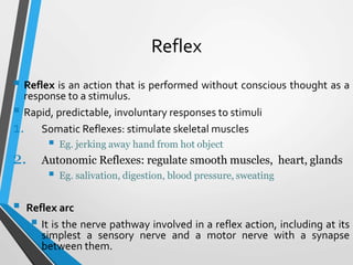 Reflex
 Reflex is an action that is performed without conscious thought as a
response to a stimulus.
 Rapid, predictable, involuntary responses to stimuli
1. Somatic Reflexes: stimulate skeletal muscles
 Eg. jerking away hand from hot object
2. Autonomic Reflexes: regulate smooth muscles, heart, glands
 Eg. salivation, digestion, blood pressure, sweating
 Reflex arc
 It is the nerve pathway involved in a reflex action, including at its
simplest a sensory nerve and a motor nerve with a synapse
between them.
 