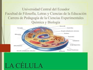 LA CÉLULA
Universidad Central del Ecuador
Facultad de Filosofía, Letras y Ciencias de la Educación
Carrera de Pedagogía de la Ciencias Experimentales
Química y Biología
 