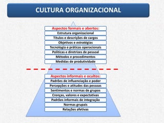 O iceberg da cultura organizacional
Aspectos formais e abertos:
Estrutura organizacional
Títulos e descrições de cargos
Objetivos e estratégias
Tecnologia e práticas operacionais
Políticas e diretrizes de pessoal
Métodos e procedimentos
Medidas de produtividade
Aspectos informais e ocultos:
Padrões de influenciação e poder
Percepções e atitudes das pessoas
Sentimentos e normas de grupos
Crenças, valores e expectativas
Padrões informais de integração
Normas grupais
Relações afetivas
CULTURA ORGANIZACIONAL
 