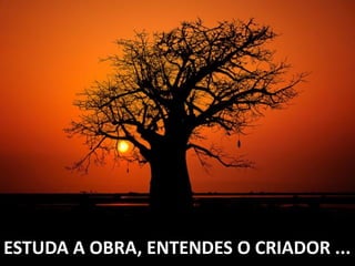 ESTUDA A OBRA, ENTENDES O CRIADOR ...
 