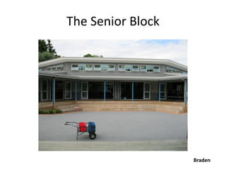 The Senior Block




                   Braden
 