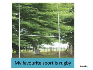 My favourite sport is rugby   Rameka
 