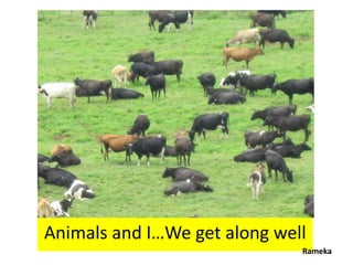 Animals and I…We get along well
                              Rameka
 