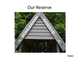 Our Reserve




              Braden
 