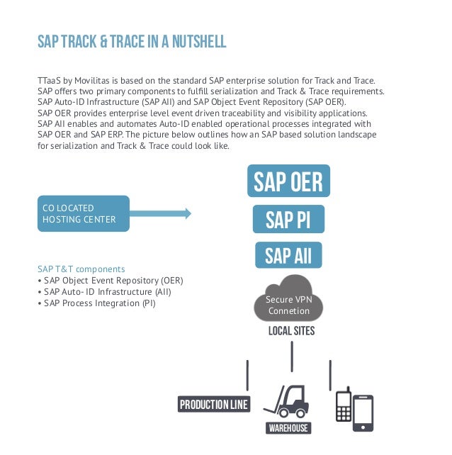 Serialization with SAP Auto ID Infrastructure (AII) Part 1