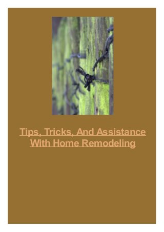 Tips, Tricks, And Assistance
With Home Remodeling
 