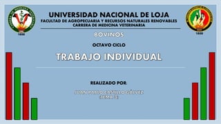 UNIVERSIDAD NACIONAL DE LOJA
FACULTAD DE AGROPECUARIA Y RECURSOS NATURALES RENOVABLES
CARRERA DE MEDICINA VETERINARIA
OCTAVO CICLO
REALIZADO POR:
 