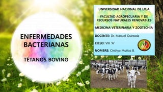 ENFERMEDADES
BACTERIANAS
TÉTANOS BOVINO
UNIVERSIDAD NACIONAL DE LOJA
FACULTAD AGROPECUARIA Y DE
RECURSOS NATURALES RENOVABLES
MEDICINA VETERINARIA Y ZOOTECNIA
DOCENTE: Dr. Manuel Quezada
CICLO: VIII “A”
NOMBRE: Cinthya Muñoz B.
UNIVERSIDAD NACIONAL DE LOJA
FACULTAD AGROPECUARIA Y DE
RECURSOS NATURALES RENOVABLES
MEDICINA VETERINARIA Y ZOOTECNIA
 