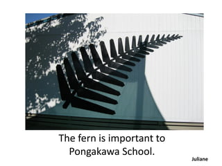 The fern is important to
  Pongakawa School.
                           Juliane
 