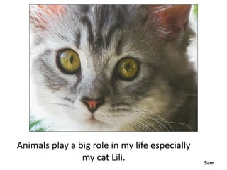 Animals play a big role in my life especially
                my cat Lili.                    Sam
 