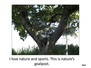 I love nature and sports. This is nature’s
                goalpost.                    Sam
 