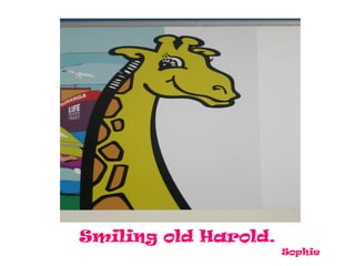 Smiling old Harold.
                      Sophie
 