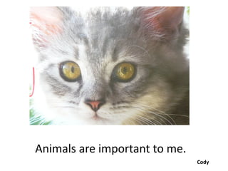 Animals are important to me.
                               Cody
 