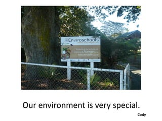 Our environment is very special.
                               Cody
 