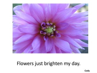 Flowers just brighten my day.
                                Cody
 