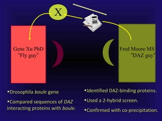 X
Gene Xu PhD
“Fly guy”
Fred Moore MS
“DAZ guy”
•Identified DAZ-binding proteins.Identified DAZ-binding proteins.
•Used a 2-hybrid screen.Used a 2-hybrid screen.
•Confirmed with co-precipitation.Confirmed with co-precipitation.
•DrosophilaDrosophila bouleboule genegene
•Compared sequences ofCompared sequences of DAZDAZ
interacting proteins withinteracting proteins with boule.boule.
 