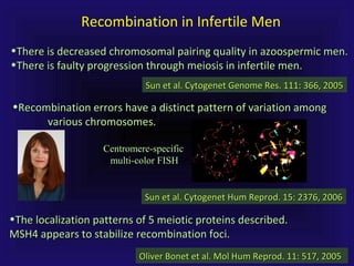 •There is decreased chromosomal pairing quality in azoospermic men.There is decreased chromosomal pairing quality in azoospermic men.
•There is faulty progression through meiosis in infertile men.There is faulty progression through meiosis in infertile men.
Sun et al. Cytogenet Genome Res. 111: 366, 2005Sun et al. Cytogenet Genome Res. 111: 366, 2005
•Recombination errors have a distinct pattern of variation amongRecombination errors have a distinct pattern of variation among
various chromosomes.various chromosomes.
Centromere-specificCentromere-specific
multi-color FISHmulti-color FISH
Sun et al. Cytogenet Hum Reprod. 15: 2376, 2006Sun et al. Cytogenet Hum Reprod. 15: 2376, 2006
•The localization patterns of 5 meiotic proteins described.The localization patterns of 5 meiotic proteins described.
MSH4 appears to stabilize recombination foci.MSH4 appears to stabilize recombination foci.
Oliver Bonet et al. Mol Hum Reprod. 11: 517, 2005Oliver Bonet et al. Mol Hum Reprod. 11: 517, 2005
Recombination in Infertile Men
 