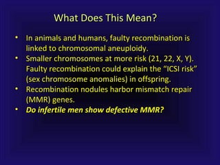 What Does This Mean?What Does This Mean?
• In animals and humans, faulty recombination isIn animals and humans, faulty recombination is
linked to chromosomal aneuploidy.linked to chromosomal aneuploidy.
• Smaller chromosomes at more risk (21, 22, X, Y).Smaller chromosomes at more risk (21, 22, X, Y).
Faulty recombination could explain the “ICSI risk”Faulty recombination could explain the “ICSI risk”
(sex chromosome anomalies) in offspring.(sex chromosome anomalies) in offspring.
• Recombination nodules harbor mismatch repairRecombination nodules harbor mismatch repair
(MMR) genes.(MMR) genes.
• Do infertile men show defective MMR?Do infertile men show defective MMR?
 