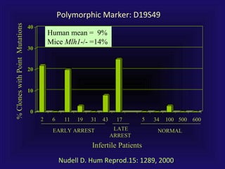 0
10
20
30
40
%CloneswithPointMutations%CloneswithPointMutations
EARLY ARRESTEARLY ARREST LATELATE
ARRESTARREST
NORMALNORMAL
22 1919 3131 55 3434 100100 500500 600600434366 1111 1717
Infertile PatientsInfertile Patients
Nudell D. Hum Reprod.15: 1289, 2000.
Polymorphic Marker: D19S49
Human mean = 9%
Mice Mlh1-/- =14%
 