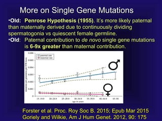 More on Single Gene MutationsMore on Single Gene Mutations
•Old:Old: Penrose Hypothesis (1955)Penrose Hypothesis (1955). It’s more likely paternal. It’s more likely paternal
than maternally derived due to continuously dividingthan maternally derived due to continuously dividing
spermatogonia vs quiescent female germline.spermatogonia vs quiescent female germline.
•OldOld:: Paternal contribution toPaternal contribution to de novode novo single gene mutationssingle gene mutations
isis 6-9x greater6-9x greater than maternal contribution.than maternal contribution.
Forster et al. Proc. Roy Soc B. 2015; Epub Mar 2015Forster et al. Proc. Roy Soc B. 2015; Epub Mar 2015
Goriely and Wilkie, Am J Hum Genet. 2012, 90: 175Goriely and Wilkie, Am J Hum Genet. 2012, 90: 175
 