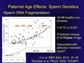 Wyrobek et al. PNAS, 2006; 103:9601Wyrobek et al. PNAS, 2006; 103:9601
Paternal Age Effects: Sperm GeneticsPaternal Age Effects: Sperm Genetics
•Sperm DNA Fragmentation:Sperm DNA Fragmentation:
Ji et al. BMC Med. 2012, 10: 49Ji et al. BMC Med. 2012, 10: 49
•N=88 healthy non-N=88 healthy non-
smokerssmokers
•r=0.72; p<0.001r=0.72; p<0.001
•Predicted changePredicted change
ofof 3.1%/year3.1%/year of ageof age
•Associated withAssociated with
defective mismatchdefective mismatch
repair?repair?20 yrs20 yrs 40 yrs40 yrs 60 yrs60 yrs 80 yrs80 yrs
10% 25% 47% 88%
20 yrs 40 yrs 60 yrs20 yrs 40 yrs 60 yrs 80 yrs80 yrs
 