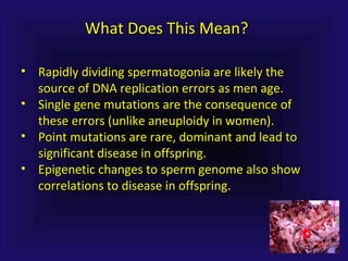 What Does This Mean?What Does This Mean?
• Rapidly dividing spermatogonia are likely theRapidly dividing spermatogonia are likely the
source of DNA replication errors as men age.source of DNA replication errors as men age.
• Single gene mutations are the consequence ofSingle gene mutations are the consequence of
these errors (unlike aneuploidy in women).these errors (unlike aneuploidy in women).
• Point mutations are rare, dominant and lead toPoint mutations are rare, dominant and lead to
significant disease in offspring.significant disease in offspring.
• Epigenetic changes to sperm genome also showEpigenetic changes to sperm genome also show
correlations to disease in offspring.correlations to disease in offspring.
 