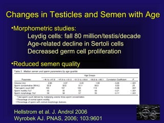 Changes in Testicles and Semen with AgeChanges in Testicles and Semen with Age
•Morphometric studies:Morphometric studies:
Leydig cells: fall 80 million/testis/decadeLeydig cells: fall 80 million/testis/decade
Age-related decline in Sertoli cellsAge-related decline in Sertoli cells
Decreased germ cell proliferationDecreased germ cell proliferation
•Reduced semen qualityReduced semen quality
Hellstrom et al. J. Androl 2006Hellstrom et al. J. Androl 2006
Wyrobek AJ. PNAS, 2006; 103:9601Wyrobek AJ. PNAS, 2006; 103:9601
 