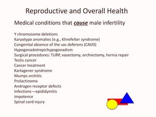 Reproductive and Overall Health
Medical conditions that cause male infertility
Y chromosome deletions
Karyotype anomalies (e.g., Klinefelter syndrome)
Congenital absence of the vas deferens (CAVD)
Hypogonadotropichypogonadism
Surgical procedures: TURP, vasectomy, orchiectomy, hernia repair
Testis cancer
Cancer treatment
Kartagener syndrome
Mumps orchitis
Prolactinoma
Androgen receptor defects
Infections—epididymitis
Impotence
Spinal cord injury
 