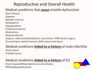 Reproductive and Overall Health
Medical conditions that cause erectile dysfunction
Heart disease
Diabetes
Multiple sclerosis
Dyslipidemia
Hypogonadism
Prolactinoma/emia
Medications
Peyronie disease
Surgery: radical prostatectomy or cystectomy, TURP, penile surgery
Trauma/injury: penile fracture, AVM, spinal cord injury
Medical conditions linked to a history of male infertility
Testis cancer
Prostate cancer
Medical conditions linked to a history of ED
Heart disease/MI/peripheral vascular disease
BPH/voiding dysfunction
 