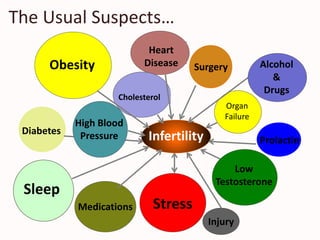 Infertility
Obesity
StressMedications
Heart
Disease
Diabetes
Cholesterol
Prolactin
Surgery
Injury
Organ
Failure
Low
Testosterone
High Blood
Pressure
Sleep
The Usual Suspects…
Alcohol
&
Drugs
 